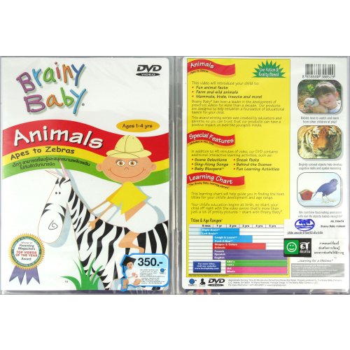 Crystal Music DVD BRAINY BABY "Animal"